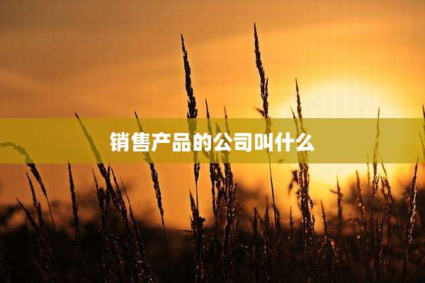 销售产品的公司叫什么