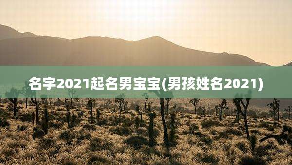 名字2021起名男宝宝(男孩姓名2021)