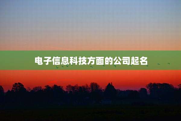电子信息科技方面的公司起名