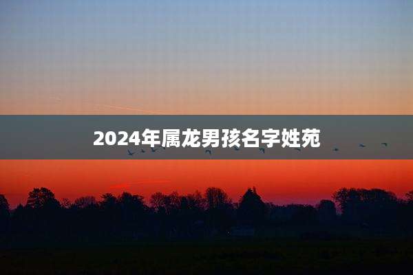 2024年属龙男孩名字姓苑