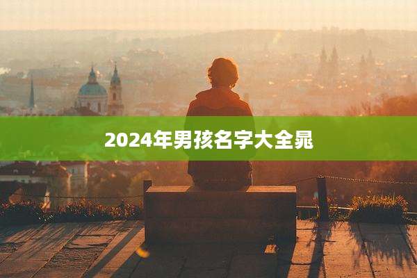 2024年男孩名字大全晁