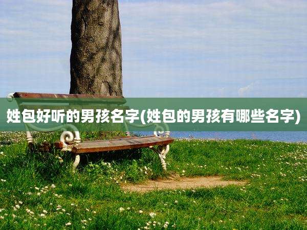 姓包好听的男孩名字(姓包的男孩有哪些名字)