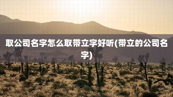 取公司名字怎么取带立字好听(带立的公司名字)