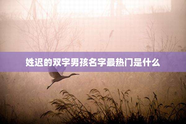 姓迟的双字男孩名字最热门是什么