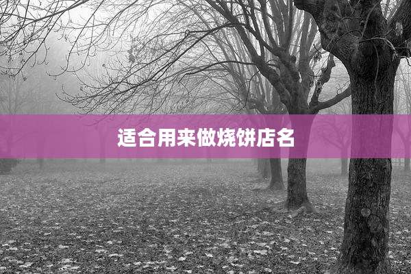 适合用来做烧饼店名