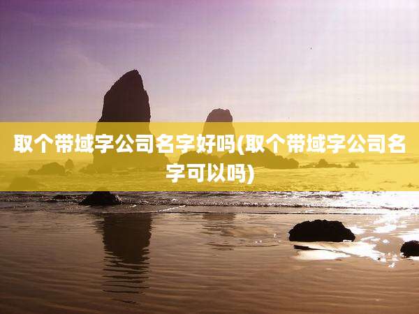 取个带域字公司名字好吗(取个带域字公司名字可以吗)