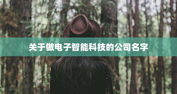 关于做电子智能科技的公司名字