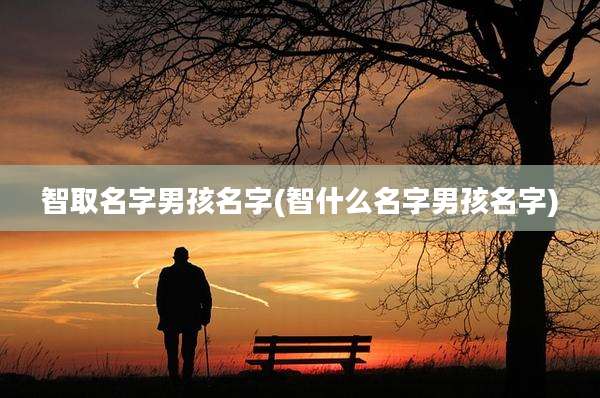 智取名字男孩名字(智什么名字男孩名字)