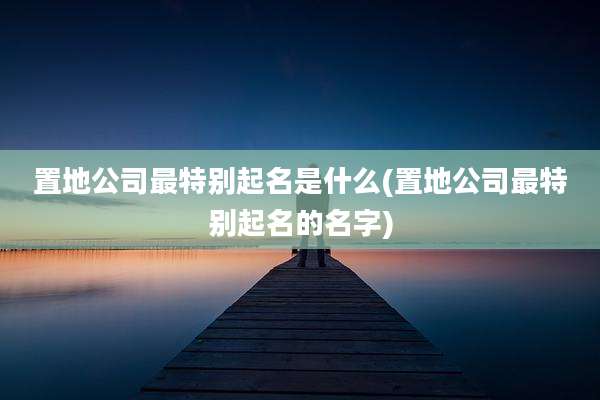 置地公司最特别起名是什么(置地公司最特别起名的名字)