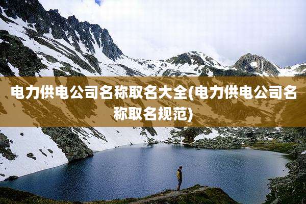 电力供电公司名称取名大全(电力供电公司名称取名规范)