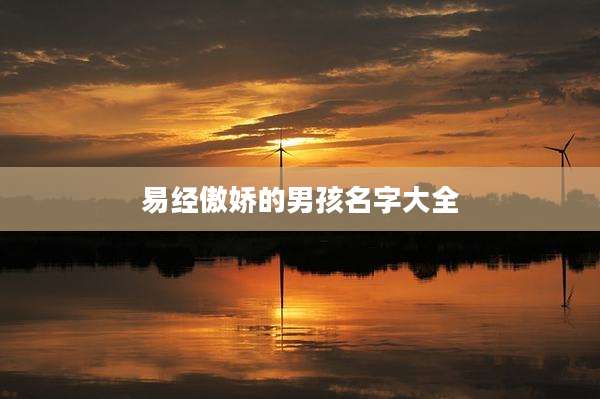 易经傲娇的男孩名字大全