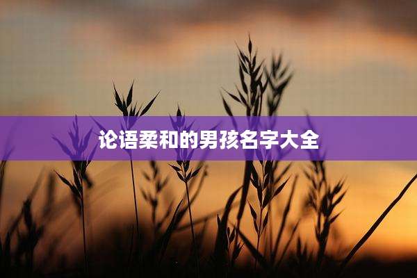 论语柔和的男孩名字大全
