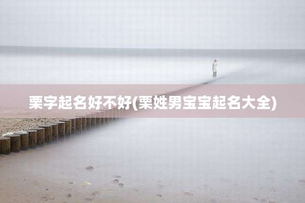 栗字起名好不好(栗姓男宝宝起名大全)