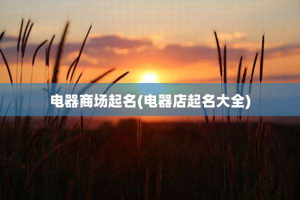 电器商场起名(电器店起名大全)