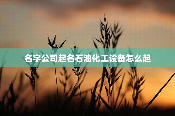 名字公司起名石油化工设备怎么起