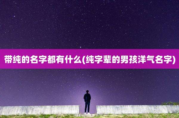 带纯的名字都有什么(纯字辈的男孩洋气名字)