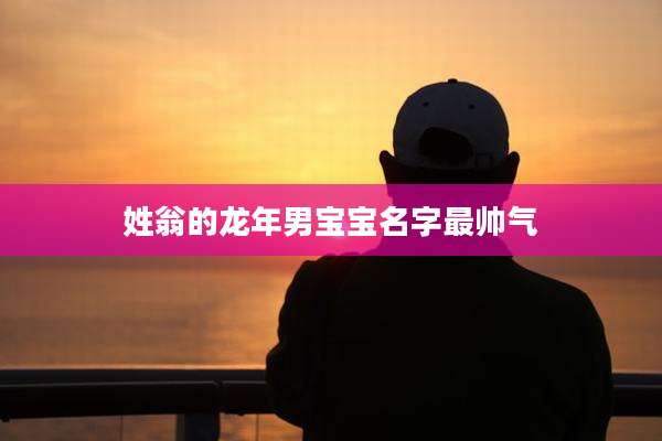 姓翁的龙年男宝宝名字最帅气