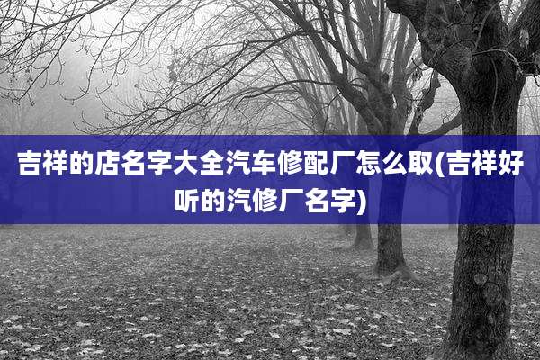吉祥的店名字大全汽车修配厂怎么取(吉祥好听的汽修厂名字)