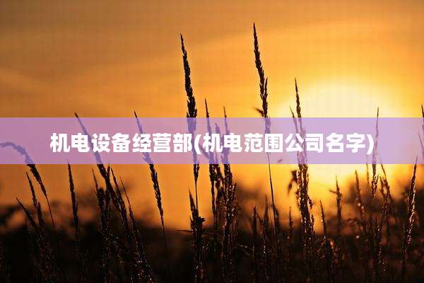 机电设备经营部(机电范围公司名字)