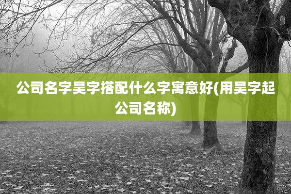 公司名字昊字搭配什么字寓意好(用昊字起公司名称)