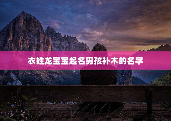衣姓龙宝宝起名男孩补木的名字