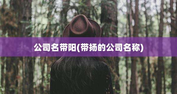 公司名带阳(带扬的公司名称)
