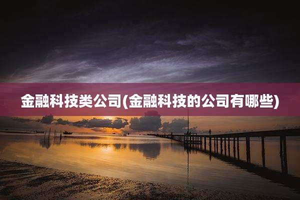 金融科技类公司(金融科技的公司有哪些)