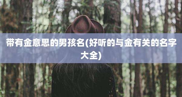 带有金意思的男孩名(好听的与金有关的名字大全)