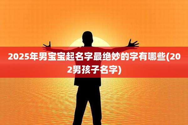 2025年男宝宝起名字最绝妙的字有哪些(202男孩子名字)