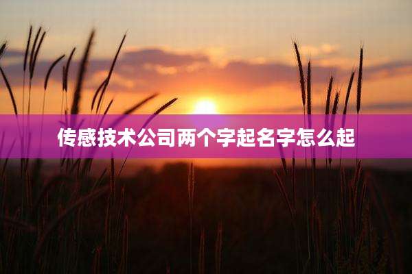 传感技术公司两个字起名字怎么起