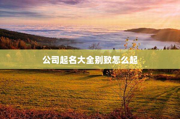 公司起名大全别致怎么起