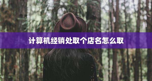 计算机经销处取个店名怎么取