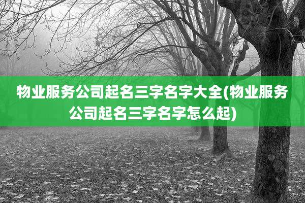 物业服务公司起名三字名字大全(物业服务公司起名三字名字怎么起)