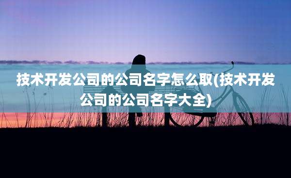 技术开发公司的公司名字怎么取(技术开发公司的公司名字大全)
