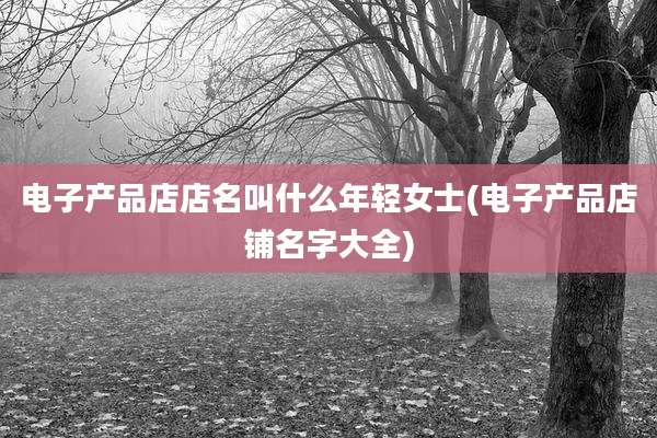 电子产品店店名叫什么年轻女士(电子产品店铺名字大全)