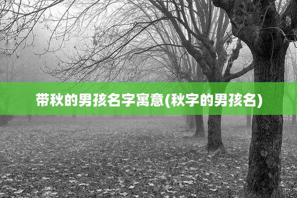 带秋的男孩名字寓意(秋字的男孩名)