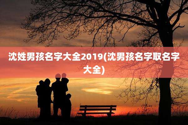 沈姓男孩名字大全2019(沈男孩名字取名字大全)
