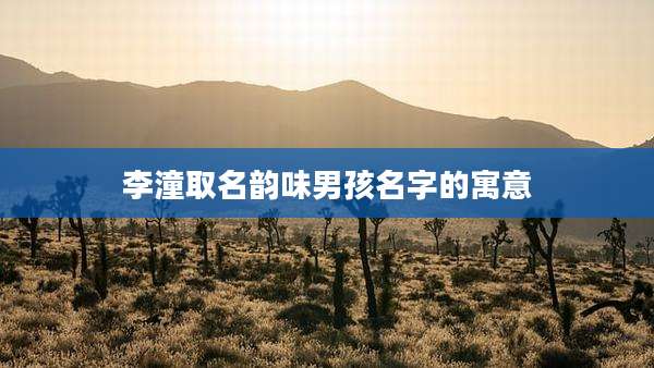 李潼取名韵味男孩名字的寓意