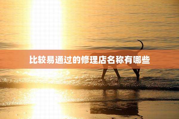 比较易通过的修理店名称有哪些