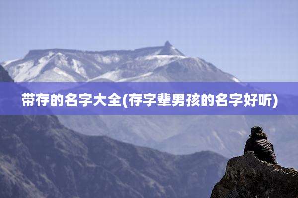带存的名字大全(存字辈男孩的名字好听)