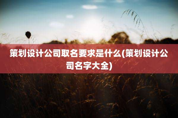 策划设计公司取名要求是什么(策划设计公司名字大全)