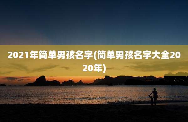 2021年简单男孩名字(简单男孩名字大全2020年)