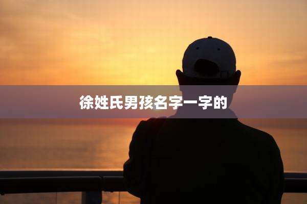 徐姓氏男孩名字一字的