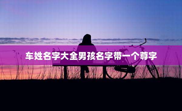 车姓名字大全男孩名字带一个尊字