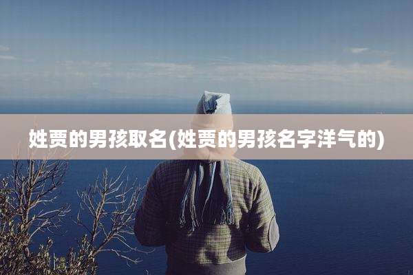 姓贾的男孩取名(姓贾的男孩名字洋气的)