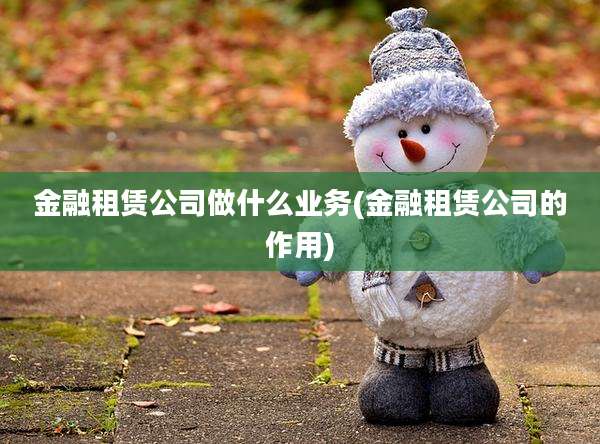 金融租赁公司做什么业务(金融租赁公司的作用)