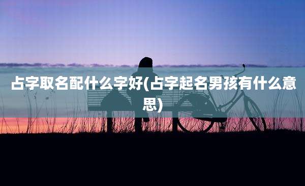 占字取名配什么字好(占字起名男孩有什么意思)