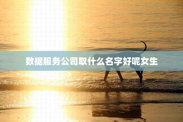 数据服务公司取什么名字好呢女生