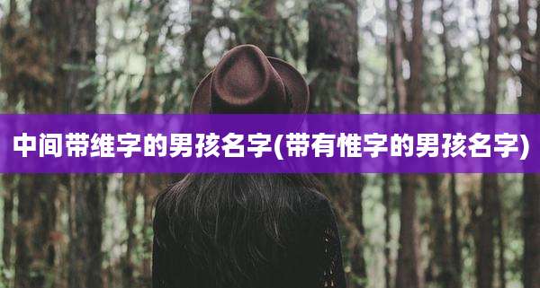 中间带维字的男孩名字(带有惟字的男孩名字)