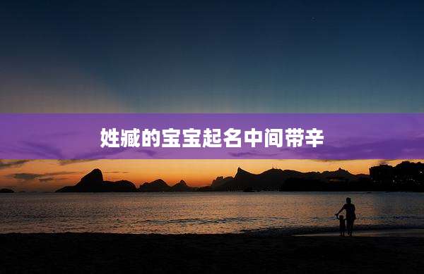 姓臧的宝宝起名中间带辛